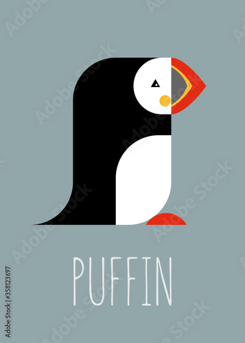 Vector illustration of the puffin
