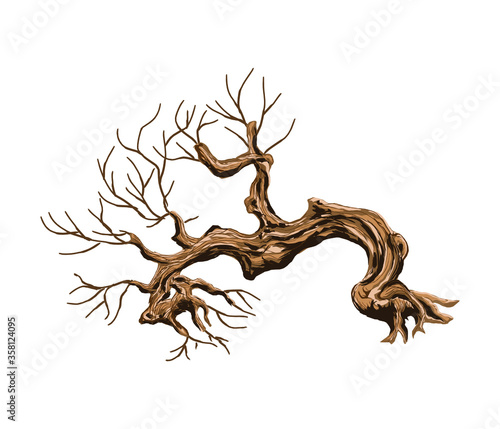 old and dead tree vector isolated