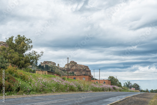 Cosmos flowers and farm worker houses next to road R26 photo