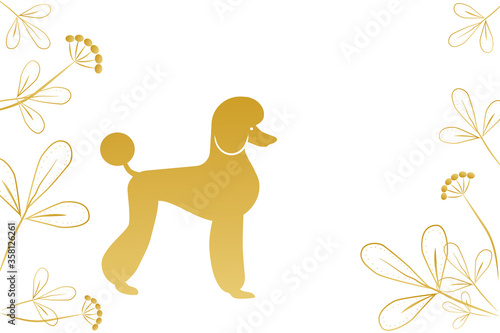 Golden silhouette of a poodle on a white background, stylized decorative flowers, copyspace. Blank for design. Vector illustration