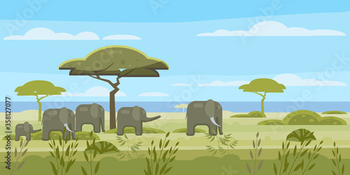 African landscape, savannah, wild herd of elephants, panorama, nature trees wilderness