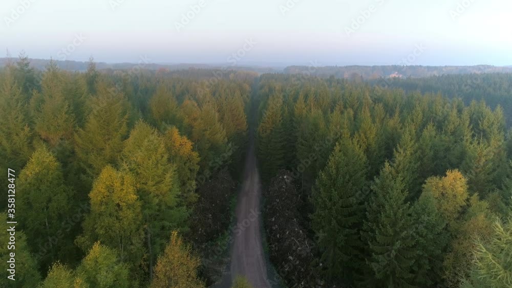 Aerial top down view of gravel road in forest in the autumn, misty morning. Drone shot flying over tree tops, Nature background in 4K resolution Aerial top down view of gravel road in forest in the autumn, misty morning. Drone shot flying over tree tops, Nature background in 4K resolution