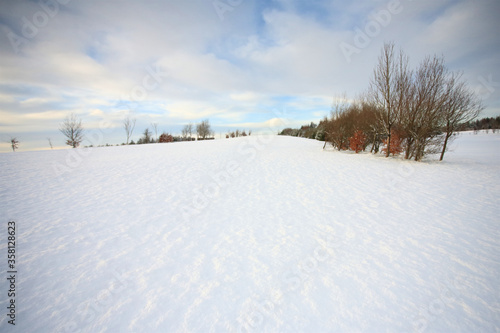 winter landscape with snow