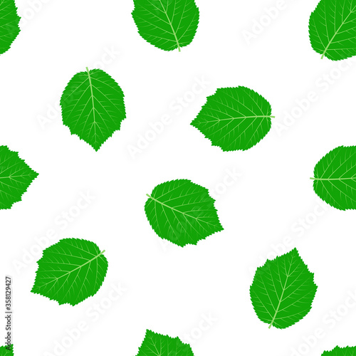 pattern with hazel leaves isolated on white