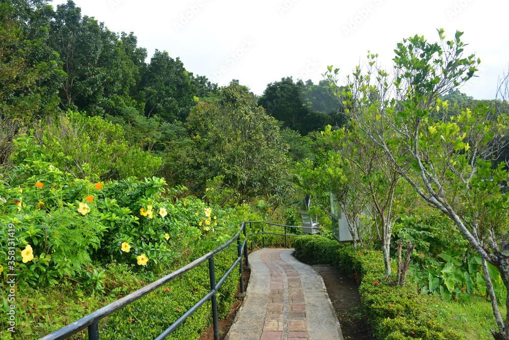 Regina Rica Rosarii path way in Tanay, Rizal, Philippines