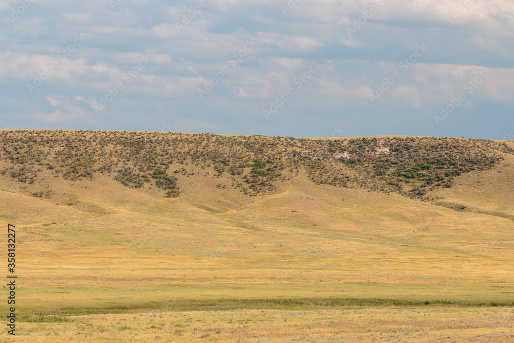 Obraz premium Wyoming prarie with sage covered ridge background.