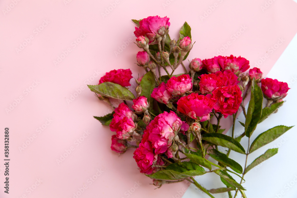 Fototapeta premium color composition of small spray roses. view from above. Empty space place for text.