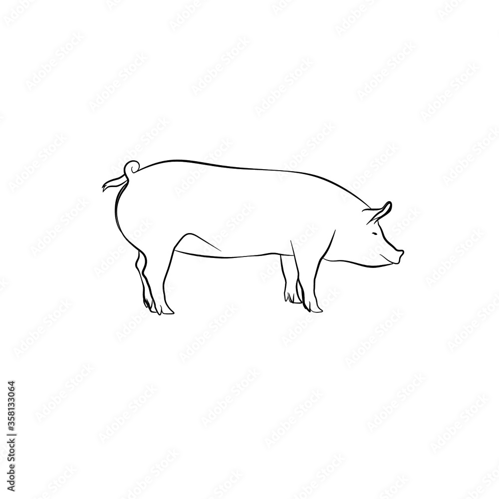 Pig vector lineart Pig vector lineart