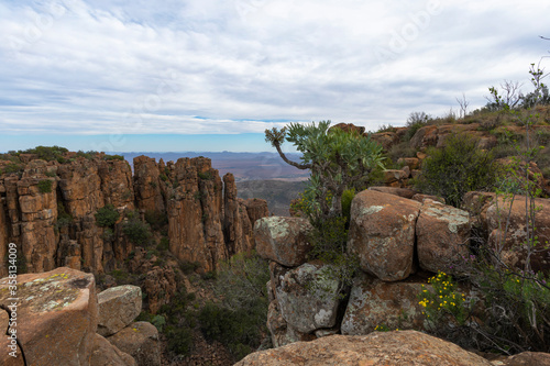 Kiepersol tree and rock pillars at Valley of Desolation photo