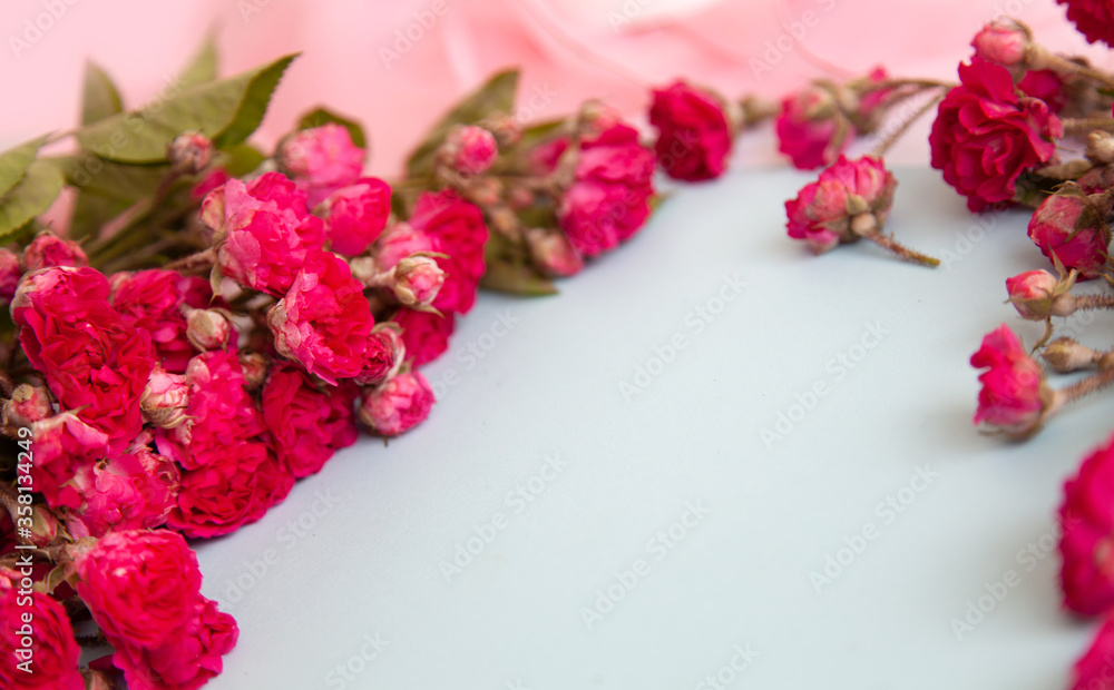 color composition of small spray roses. view from above. Empty space place for text. color composition of small spray roses. view from above. Empty space place for text.