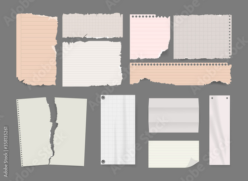 Torn paper pieces and scrapbook note set. Notebook torn ripped. Vector