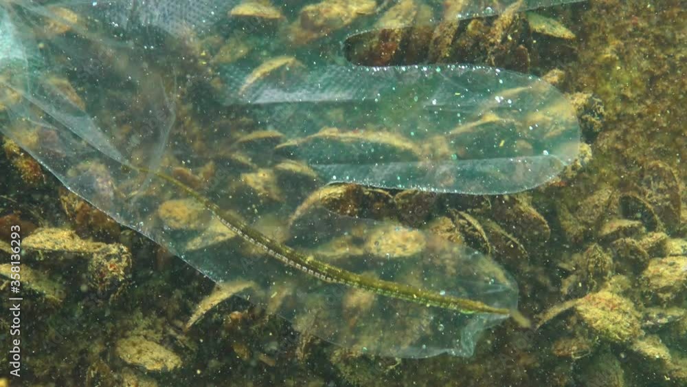 Plastic trash in the sea, animal killer in the water. Deadly trap for fish plastic glove. Black Sea Plastic trash in the sea, animal killer in the water. Deadly trap for fish plastic glove. Black Sea