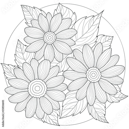Wallpaper Mural Daisy flower.Coloring book antistress for children and adults. Illustration isolated on white background.Black and white drawing.Zen-tangle style. Torontodigital.ca