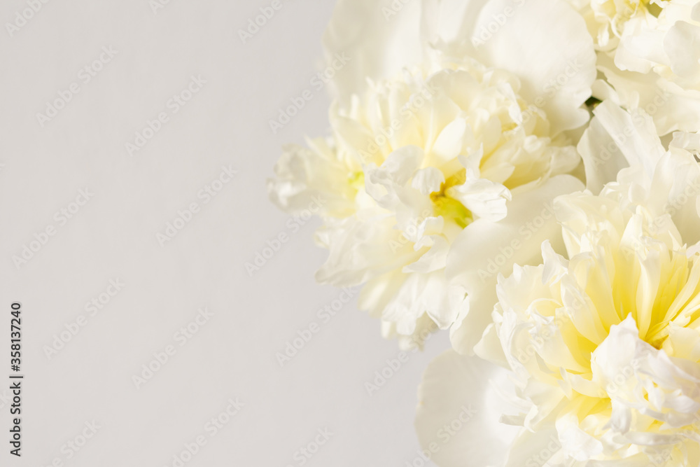 Beautiful bouquet of peonies, white peonies floral background