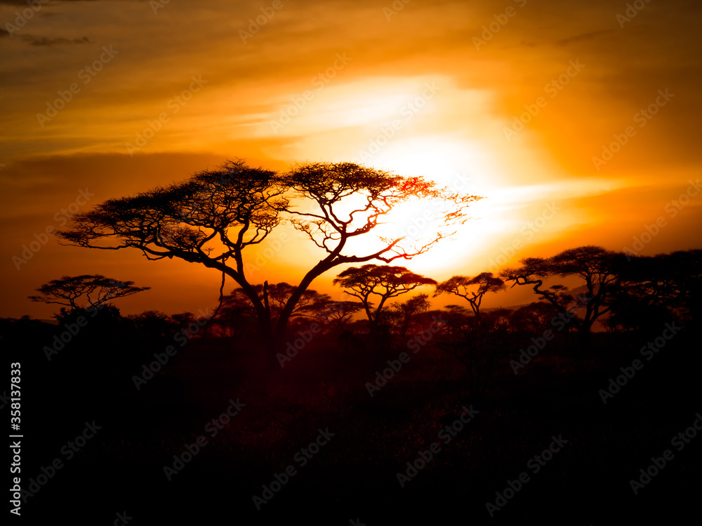 Wallpaper Coucher de soleil Afrique Sunset