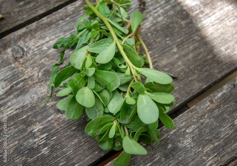 purslane from my garden on a wooden board purslane from my garden on a wooden board