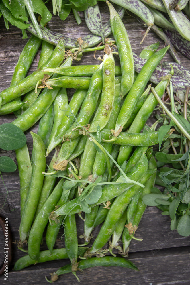 Fototapeta premium juicy ripe green peas. Close-up.