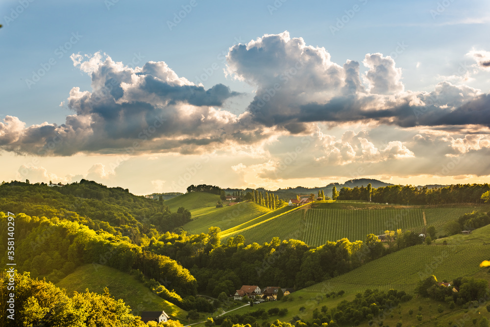 Beautiful landscape of Austrian vineyards in south Styria. Famous Tuscany like place to visit.