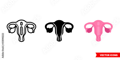 Female reproductive system icon of 3 types. Isolated vector sign symbol.