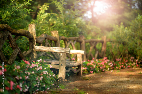 Wooden bench in beautiful park  in summer