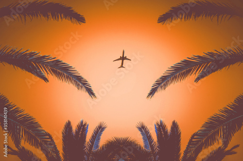 Silhouette of a plane taking off and tropical palm trees on a orange background. Air travel and recreation in tropics.