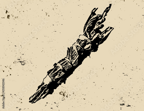 White Sage Smudge Stick. Black Ink Vector Illustration