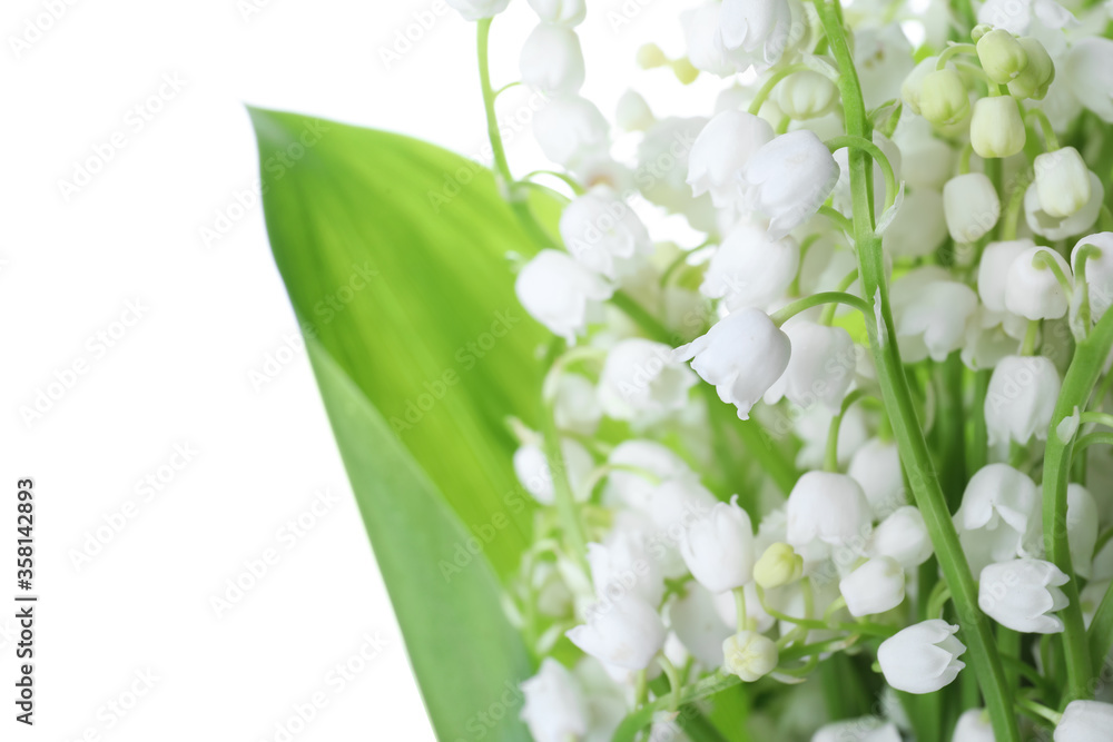 Beautiful lily of the valley flowers on white background, closeup Beautiful lily of the valley flowers on white background, closeup