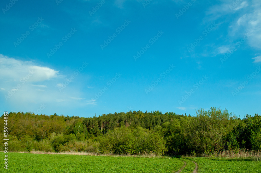 green field and blue sky green field and blue sky
