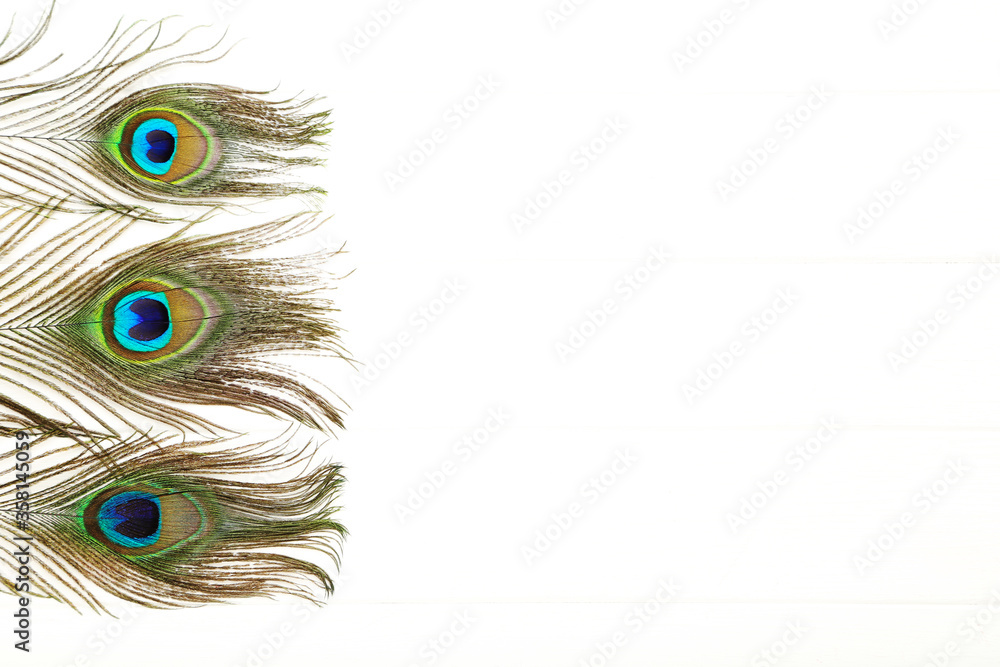 Obraz premium Peacock feathers isolated on white background