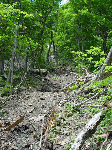 Rock slide in Smugler's Notch in Vermont photo