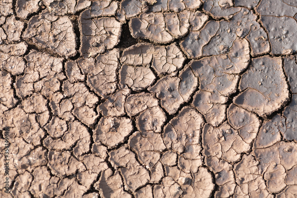 Fototapeta premium Dry cracked ground