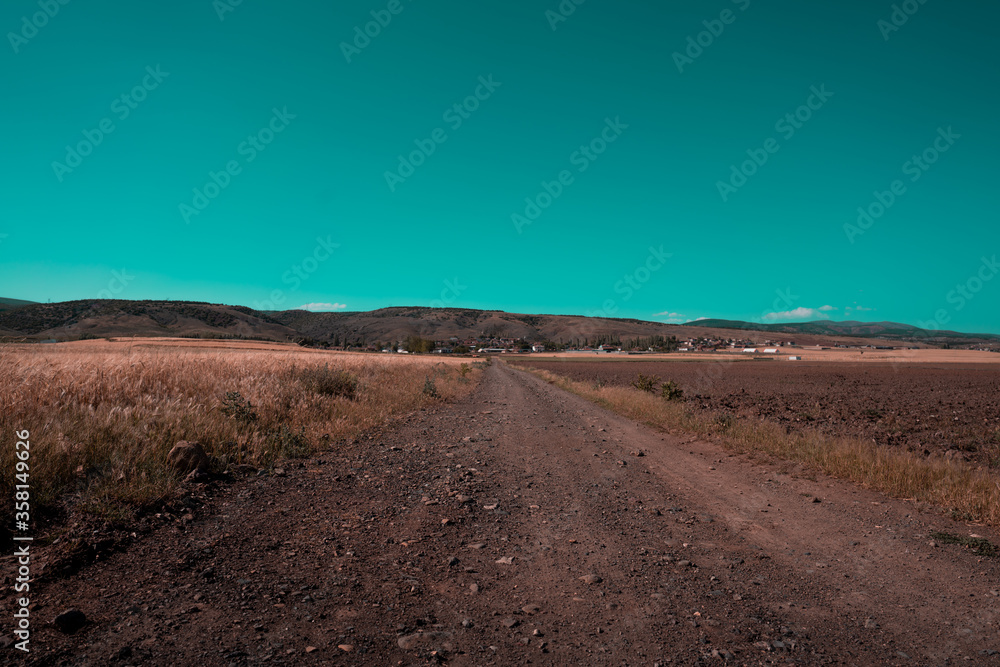 Agriculture  planting areas. Steppe landscape. Beautiful aqua blue sky. Sunny summer day. Country road.