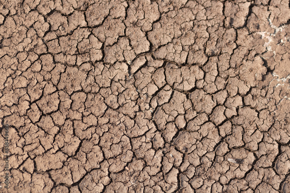 Dry cracked ground Dry cracked ground