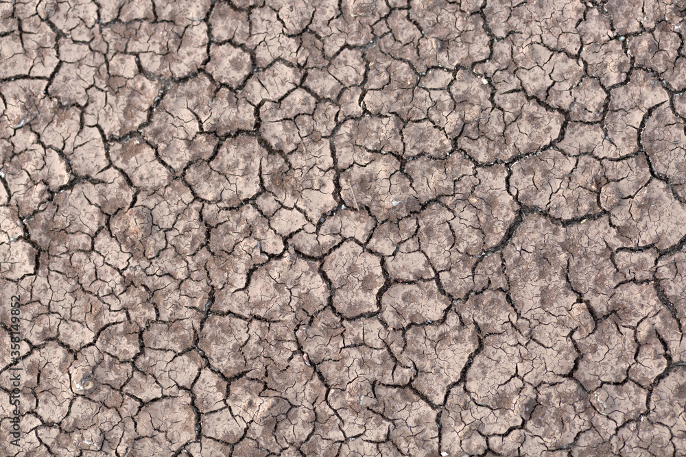 Dry cracked ground Dry cracked ground
