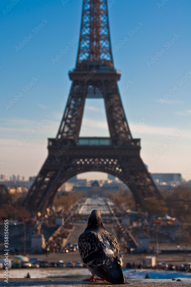 Obraz premium A different view of eiffel tour.