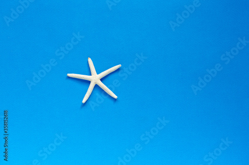 White Finger Starfish on blue background. Sea stars and shells. Sea, vacation, vacation mood. flat layout. space for text. top view.