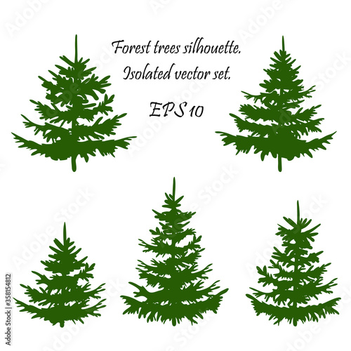 Christmas forest . Coniferous Forest. Winter Christmas Forest of fir trees silhouette for printing. EPS 10