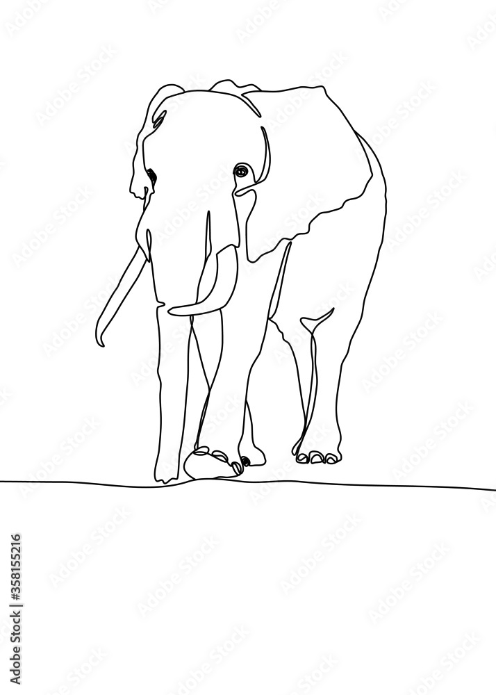 Obraz premium drawing line, a young elephant was walking looking for something. Vector illustration