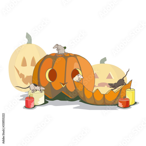 Carved pumpkins named Jack O Lantern with candles and rats on white isolated background, vector illustration for prints, stickers, postcards or using as elements of design, concept of Halloween.