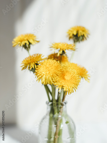 Bouquet of yellow dandelions, on a light background. Summer concept.