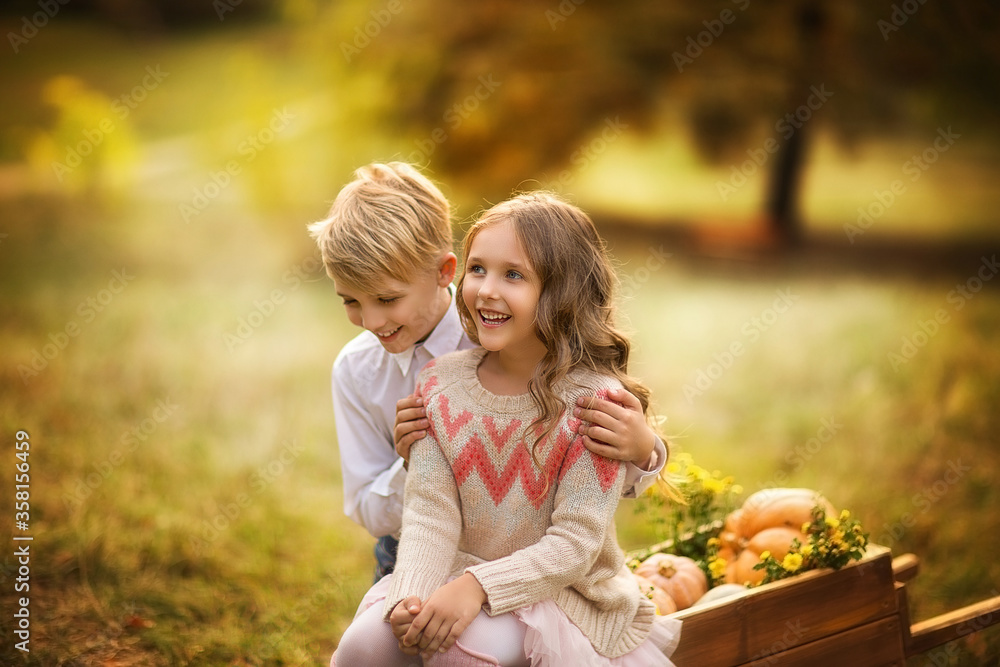 Portrait of little boy and girl laughing together sitting on a wooden wheel-barrow with pumpkins. Fall background. Portrait of little boy and girl laughing together sitting on a wooden wheel-barrow with pumpkins. Fall background.