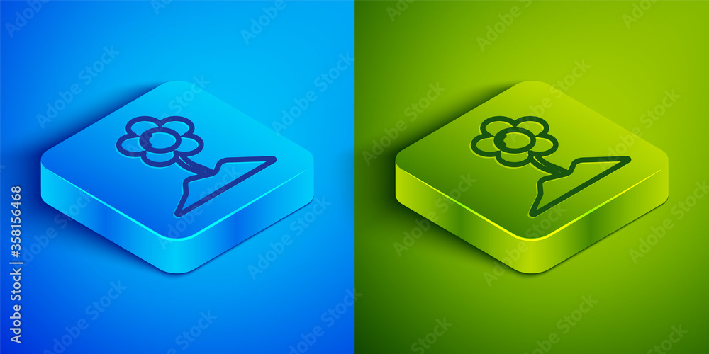Isometric line Flower icon isolated on blue and green background. Square button. Vector Illustration Isometric line Flower icon isolated on blue and green background. Square button. Vector Illustration