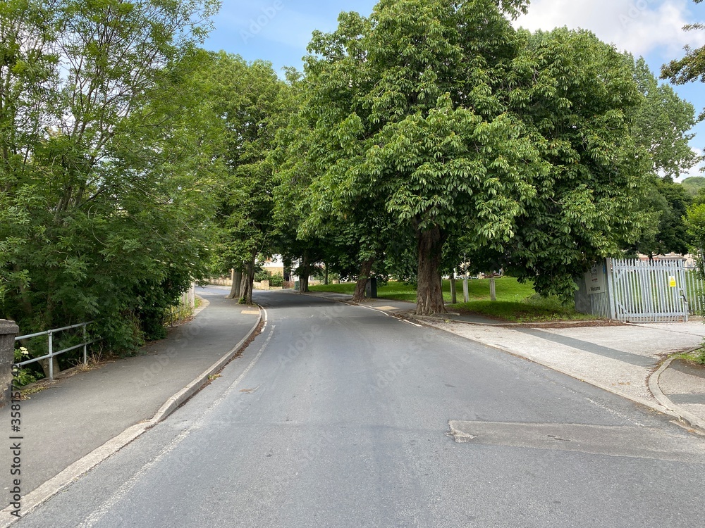 Tarmac road, lined with old trees in, Shipley, Bradford, UK