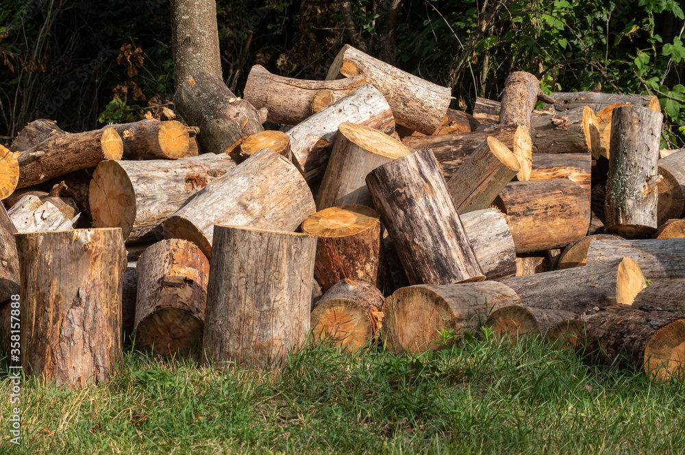 A pile of chopped wood. Harvesting logs. Firewood sawing. A pile of chopped wood. Harvesting logs. Firewood sawing.