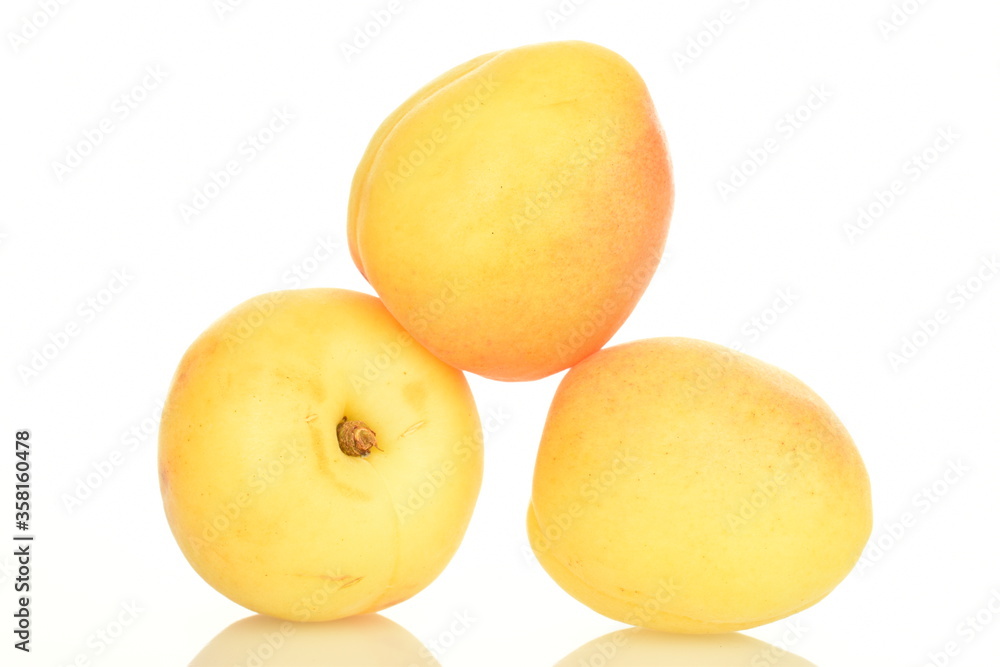 Fresh ripe, bright yellow apricots, close-up, on a white background. Fresh ripe, bright yellow apricots, close-up, on a white background.