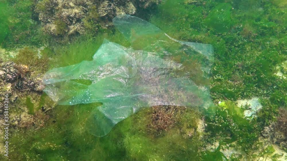 Plastic trash in the sea, animal killer in the water, a plastic glove deadly trap. Plastic trash in the sea, animal killer in the water, a plastic glove deadly trap.