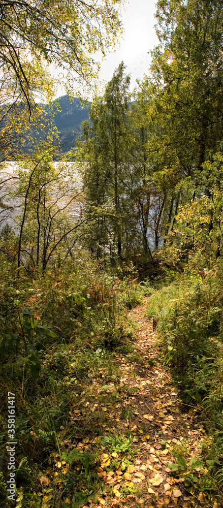 Autumn landscape in the mountains near the lake, yellow leaves, grass and green trees. clear water of a mountain lake, vertical frame Autumn landscape in the mountains near the lake, yellow leaves, grass and green trees. clear water of a mountain lake, vertical frame