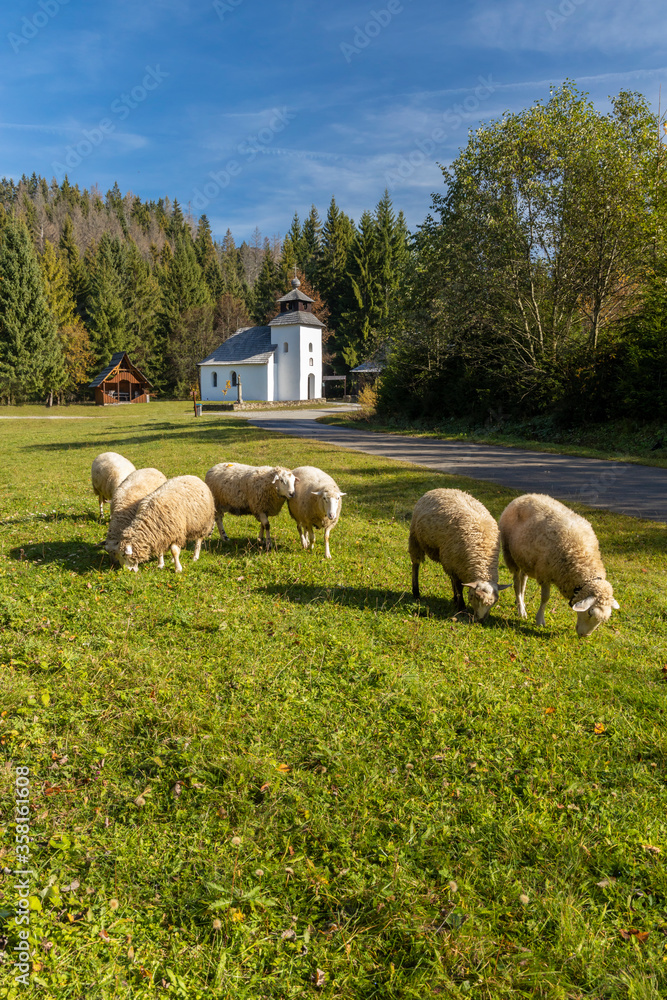 Museum Kysucke dediny in Kysuca, Slovakia Museum Kysucke dediny in Kysuca, Slovakia