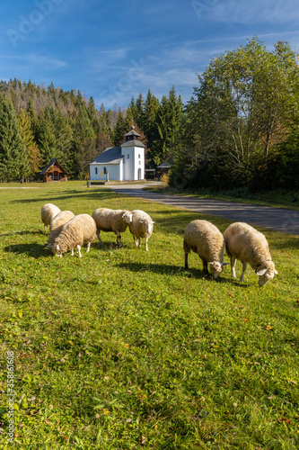 Museum Kysucke dediny in Kysuca, Slovakia
