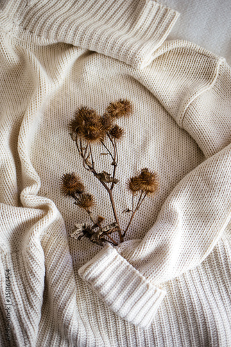 Getrocknete Disteln auf einem beigen Pullover
